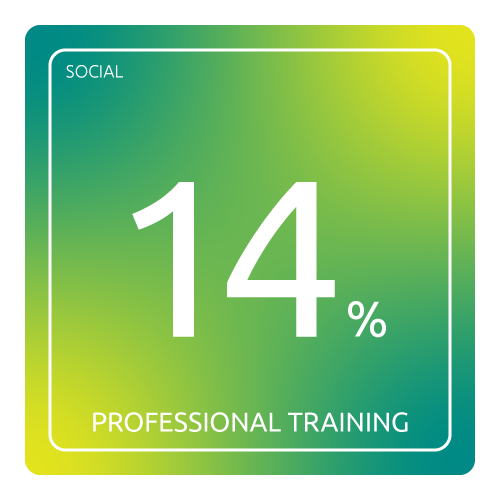 Professional Training@0.5x
